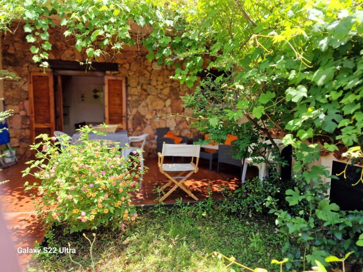 San Teodoro Appartamento Vacanze Centro Esterno foto